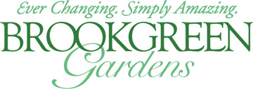 Logo for Art Festival at Brookgreen Gardens 2024