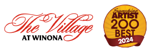 Logo for The Village at Winona Art Fair 2025