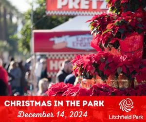 Logo for Christmas in the Park 2024