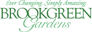 Logo for Art Festival at Brookgreen Gardens 2025